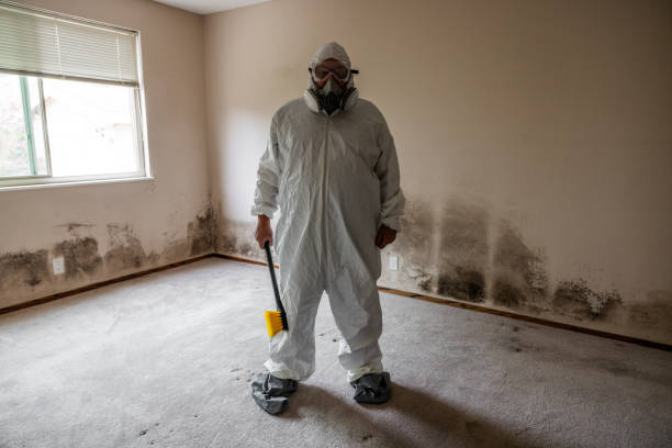 Best Attic Mold Removal  in Colusa, CA